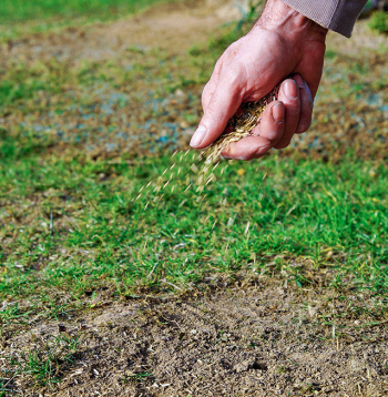 Pavasarī piesēj tukšās vietas.