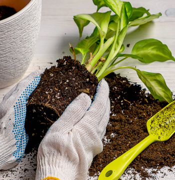 Ilustratīvs attēls.