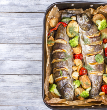 Ceptas foreles. Ceptas foreles.