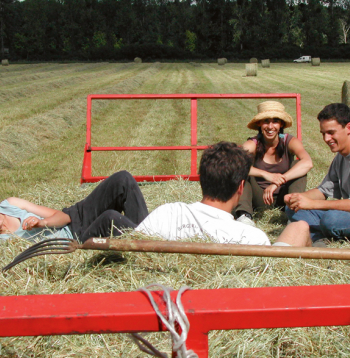 Lai arī daudzi jaunieši pauž vēlmi dzīvot lauku apvidos, daudzos gadījumos tā joprojām ir sarežģīta, ne vienmēr brīvprātīga pārcelšanās, jo jauniešu iespējas ir ierobežotas.