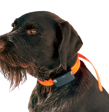 Garmin Alpha LTE lielam sunim.