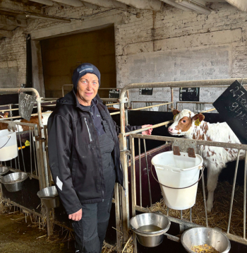 SIA "Kalnāji" lopkopības ražošanas vadītāja Ilze Lorence uzsver – pareiza un rūpīga teliņu aprūpe ir ļoti svarīgs nākamās gotiņas veselības un augsta izslaukuma rādītāja nosacījums.