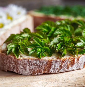 Pirmie zaļumi uz maizītes.