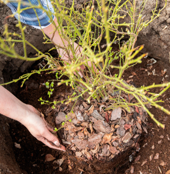 Ilustratīvs attēls.