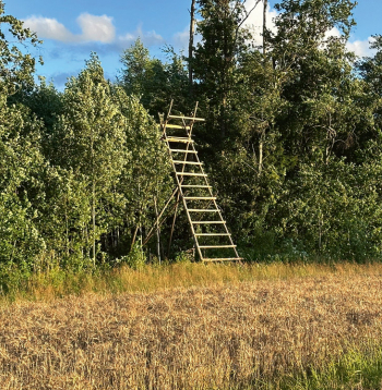 Mednieku taisītā trepe – pielāgota konkrētiem apstākļiem. Mednieku taisītā trepe – pielāgota konkrētiem apstākļiem.