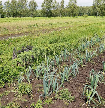 Pērn darījumu skaits ar lauksaimniecības zemi sarucis, mazākas nekā iepriekš bijušas arī pārdotās platības. Pērn darījumu skaits ar lauksaimniecības zemi sarucis, mazākas nekā iepriekš bijušas arī pārdotās platības.