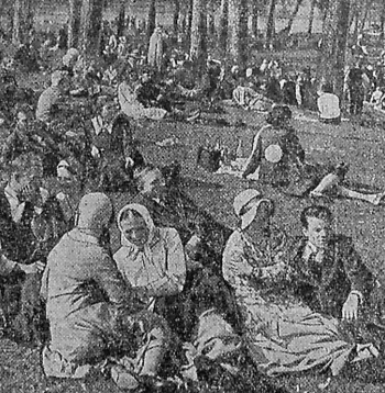 Zaļumnieki Ķīšezera priedēs 20. gs. 30. gados. Zaļumnieki Ķīšezera priedēs 20. gs. 30. gados.