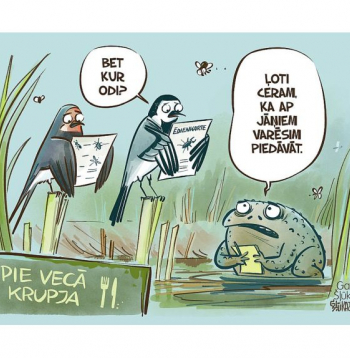 Zīmē Gatis Šļūka. Bet kur odi?