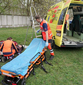 Latvijā jau šobrīd ir ārsta palīgi – plaša profila medicīnas speciālisti, kas strādā ambulatorajās medicīnas iestādēs, ģimenes ārstu praksēs, slimnīcu uzņemšanas nodaļās, NMPD un citur. Iecere noteikt Latvijā paramediķim augstākas zināšanas un prasmes nekā ārsta palīgiem rada bažas par ārsta palīga profesijas statusa un nozīmes mazināšanu.