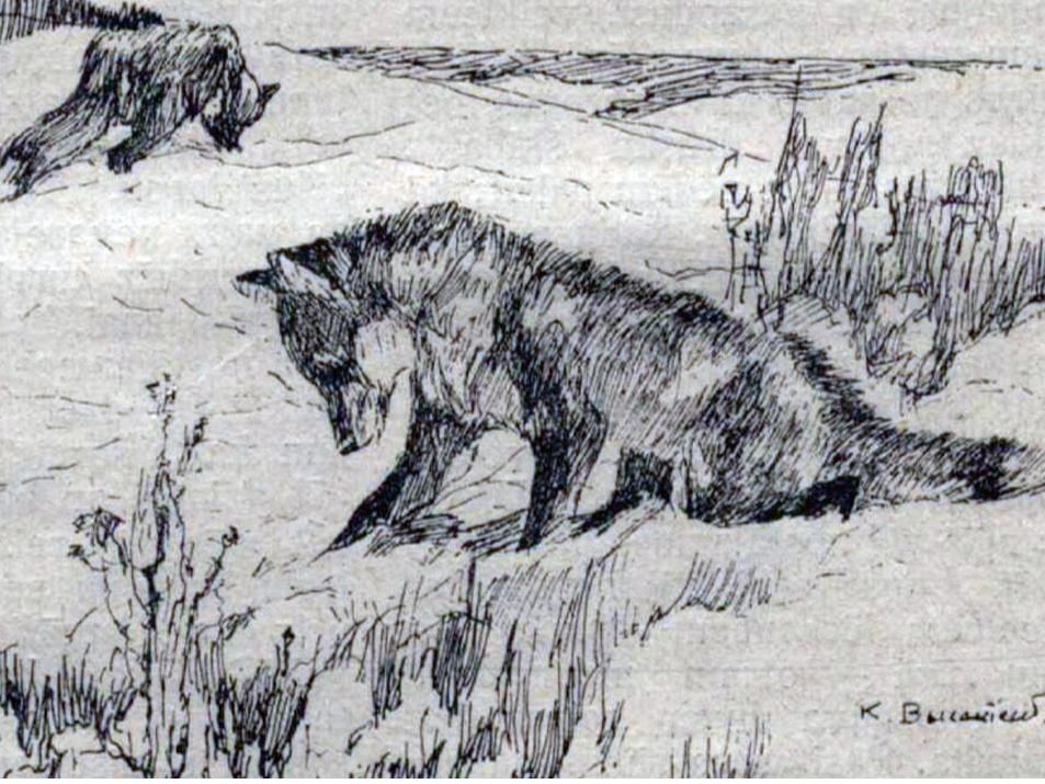 Pēdējā stunda. Ilustrācija izdevumā "Mednieks un Makšķernieks" (1923. gada 1. dec.).