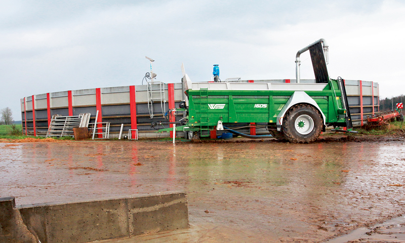Kabiles pagasta Ainara Guštilo zemnieku saimniecībā "Nogales"
