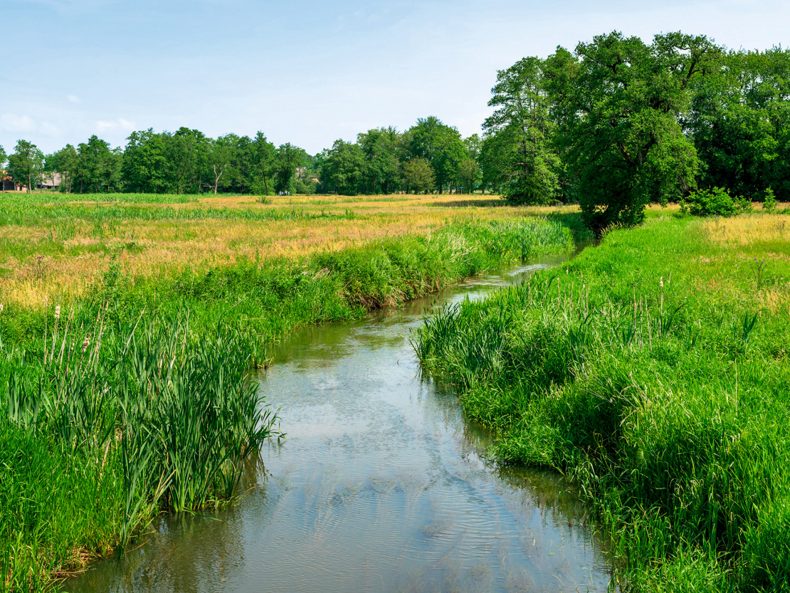 Pašdarbība upes padziļināšanā nav pieļaujama.