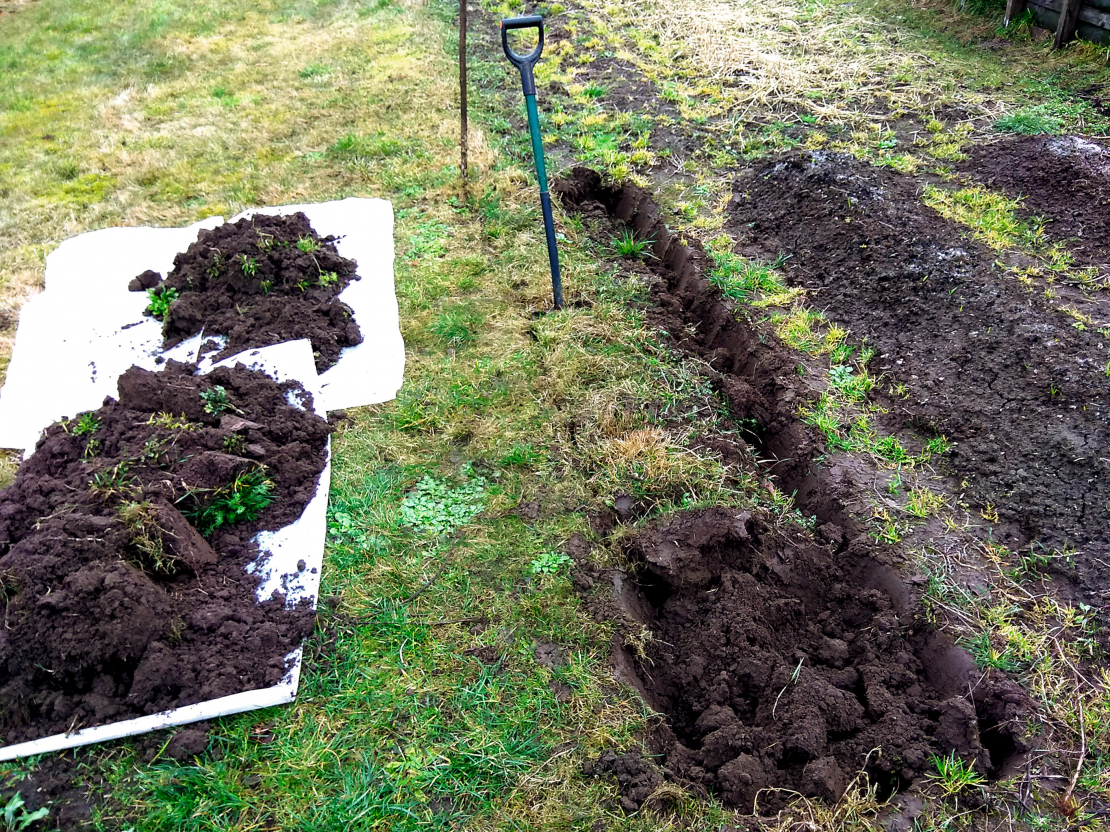 Ja topošās dobes vietā laba augsne, vispirms norok velēnu, ko izmanto kārtu veidošanai.