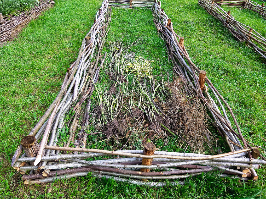 Nabadzīgā augsnē dobi sāk veidot rudenī, apakškārtā saberot lakstus un stublājus.
