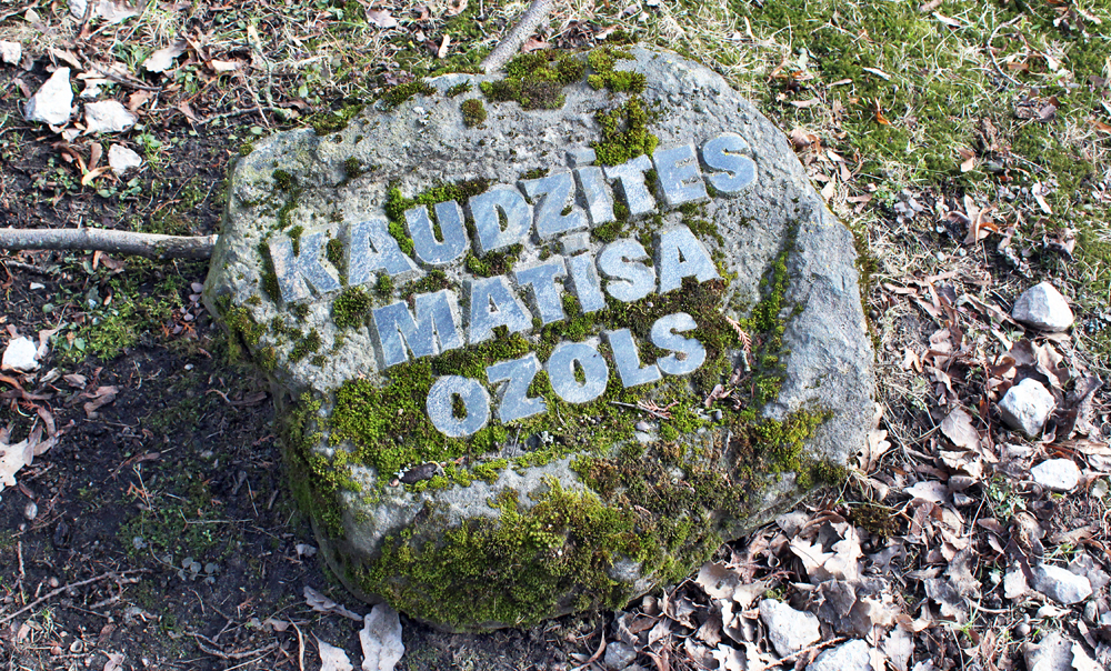 Matīsa Kaudzītes stādītais ozols.