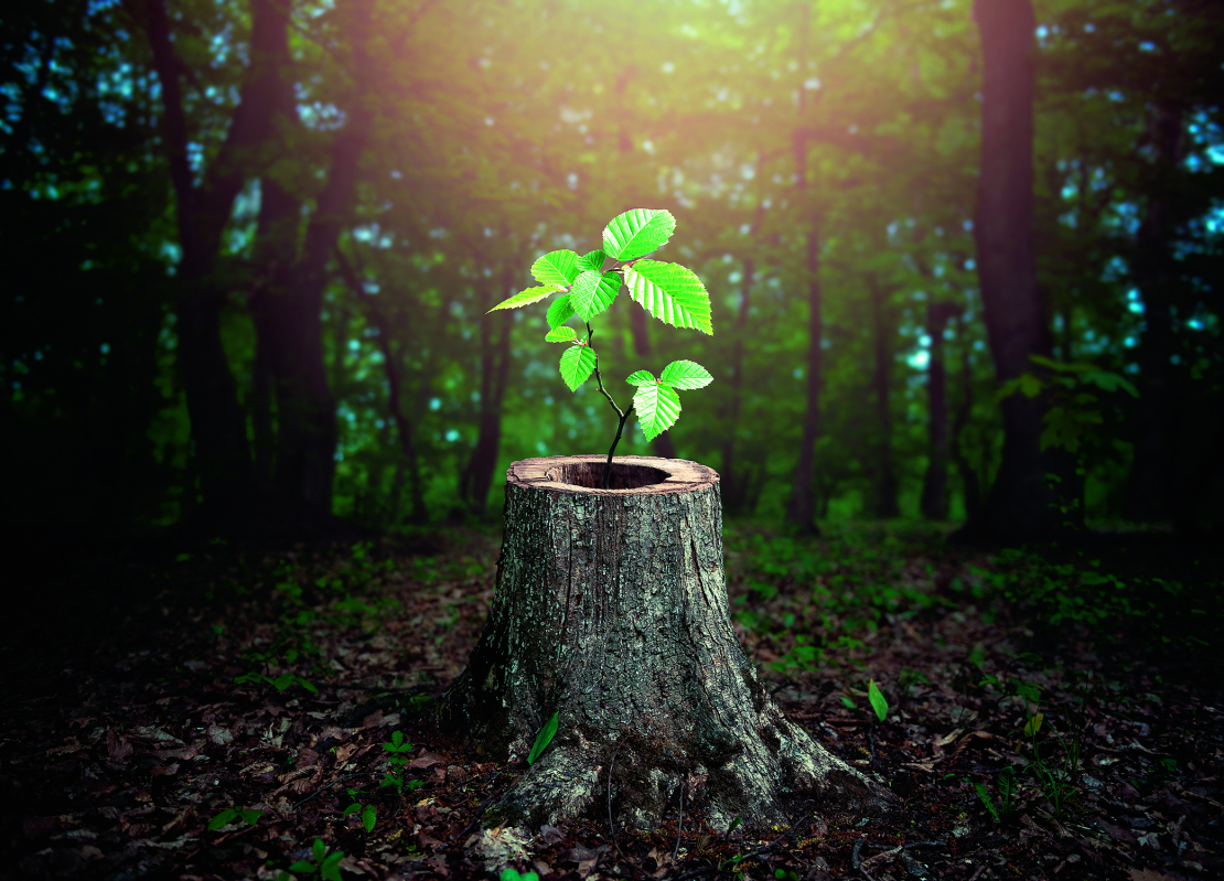 Auglības rituāls Jāņu naktij.