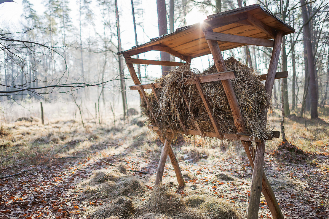 Barotavas patiešām atļauts izvietot tikai pēc tam, kad tam saņemta zemes īpašnieka vai tiesiskā valdītāja rakstiska piekrišana.