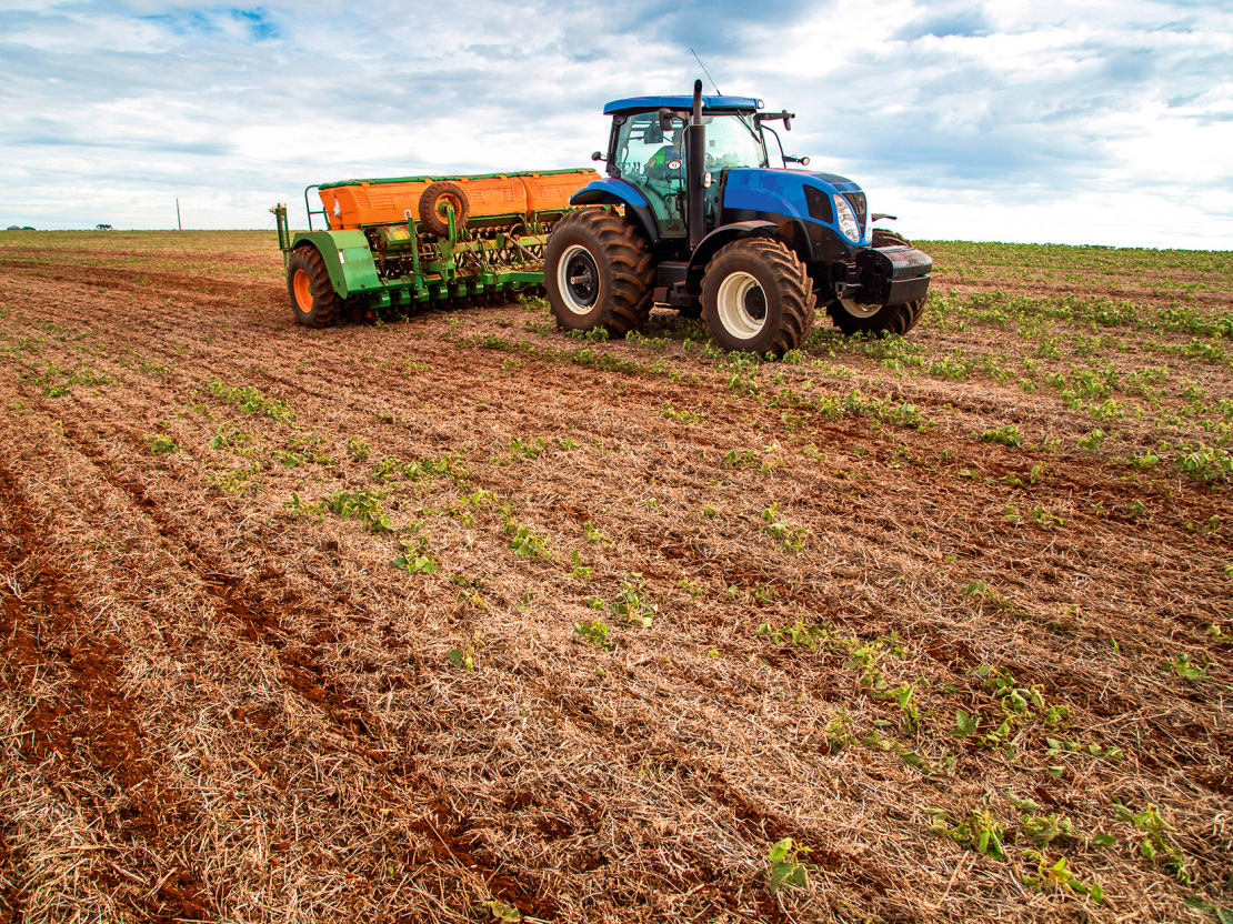 Atbalsta maksājumiem drīkst pieteikt tikai apstrādātu zemi.