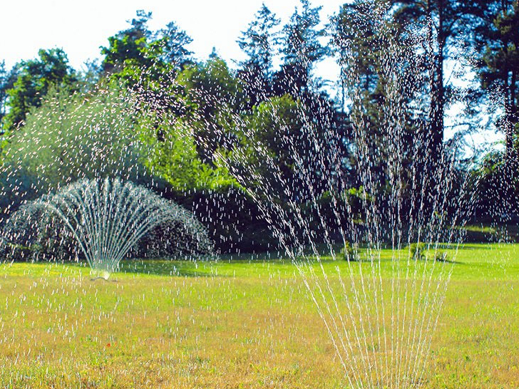 Dārza laistīšana.