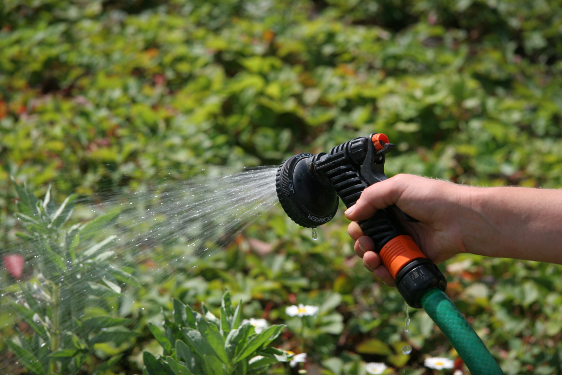 Dārza laistīšana. 