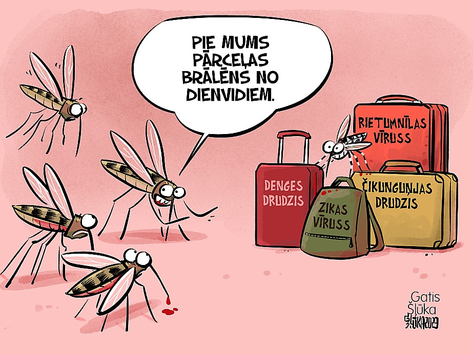 Zīmē Gatis Šļūka: Brālēns no dienvidiem.