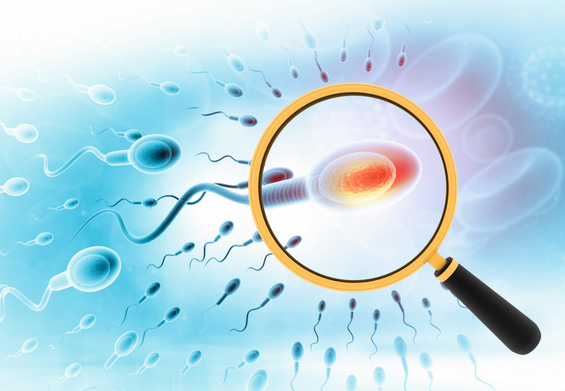 Pētījuma gaitā izpētīts epiģenētisko mutāciju mehānisms padzīvojušu tēvu spermatozoīdos.