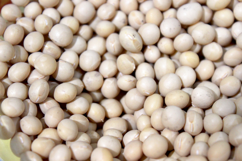 Sojas pupas.