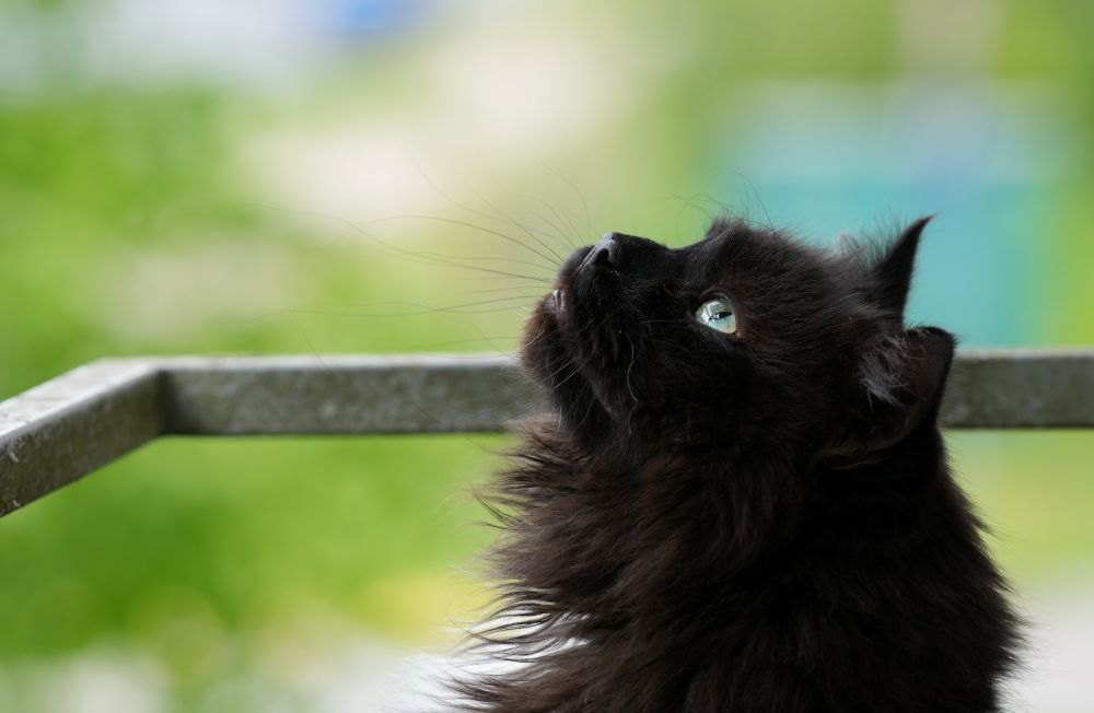 Ilustratīvs attēls.