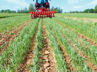 Izvēlētās metodes efektivitāte nezāļu ierobežošanā atšķiras gan atkarībā no audzētās sugas, gan konkrēta lauka un, svarīgi, no tehnoloģijas izpildes precizitātes.