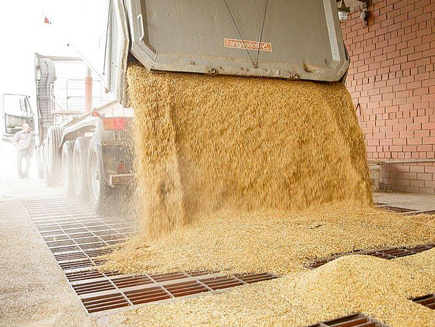 Graudus uzglabājot, visu pēcbriedes procesu aktivitāti lielā mērā nosaka apkārtējie apstākļi.