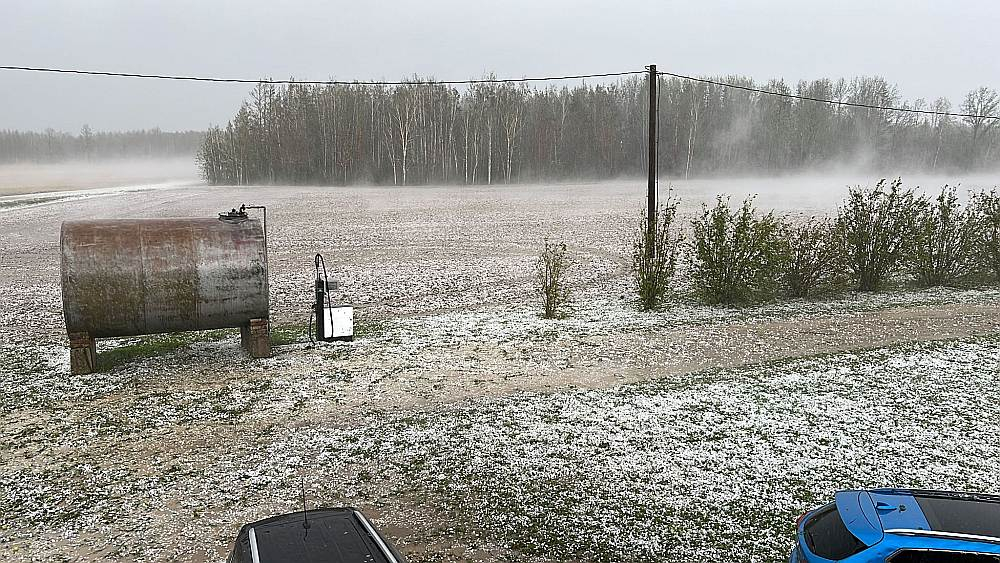 Vējš dzenā sniega putru pār zemnieku laukiem. Ilustratīvs attēls. 