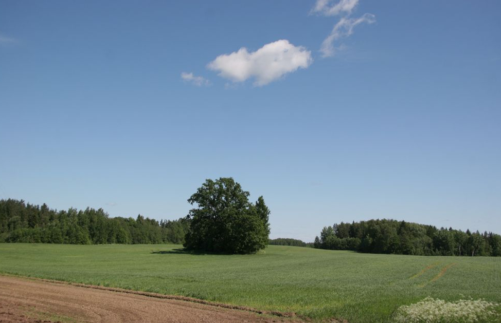 Ilustratīvs attēls.