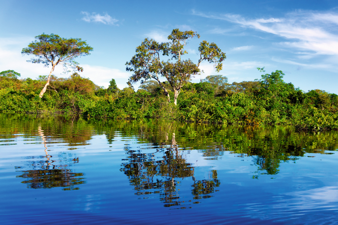 Noteikts Amazones vecums.