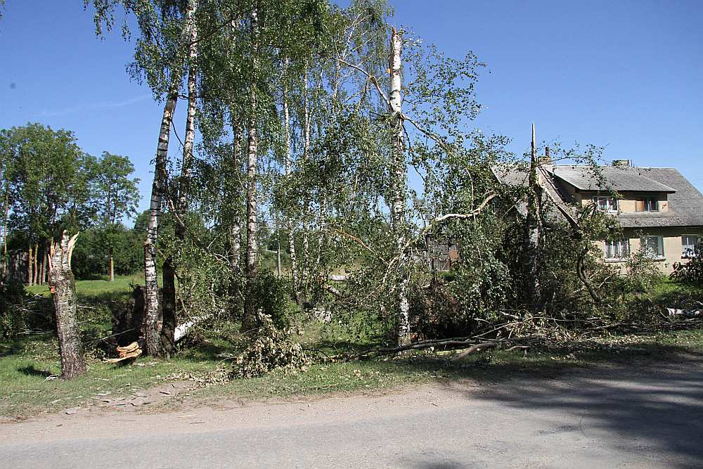 Dzeguzēnu ciemā vētra kokus lauzusi kā skalus.