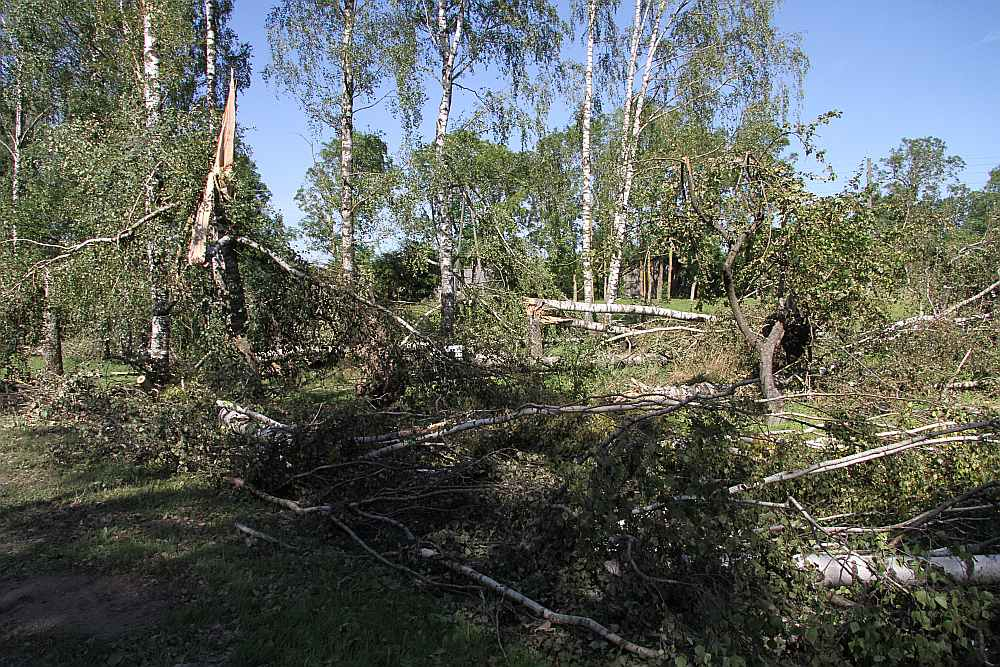 Dzeguzēnu ciemā vētra kokus lauzusi kā skalus.