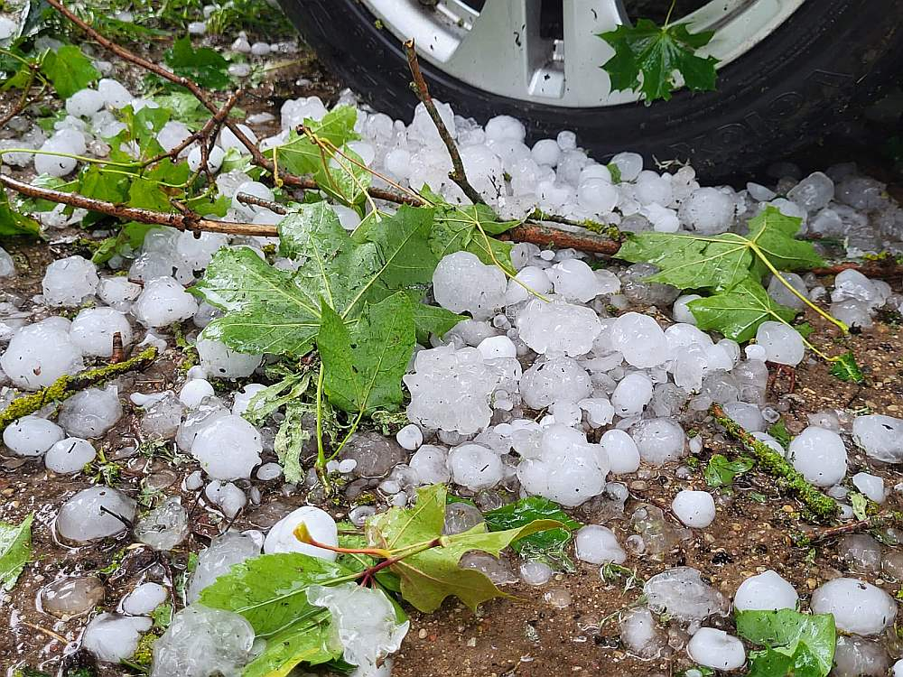 Šādi krusas gabali 7. augustā krituši Irlavā.