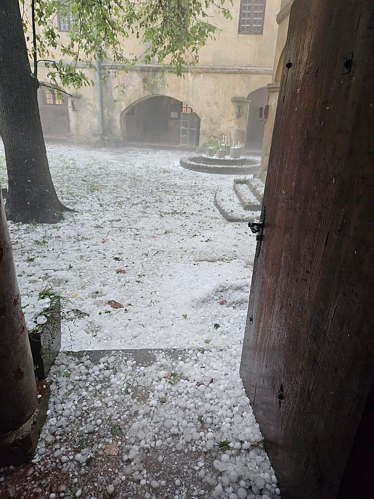 Jaunpils pils pagalms.