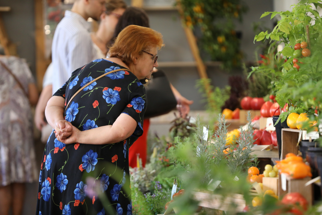 Izstāde "Tomāti un garšaugi 2023" Dabas muzejā.