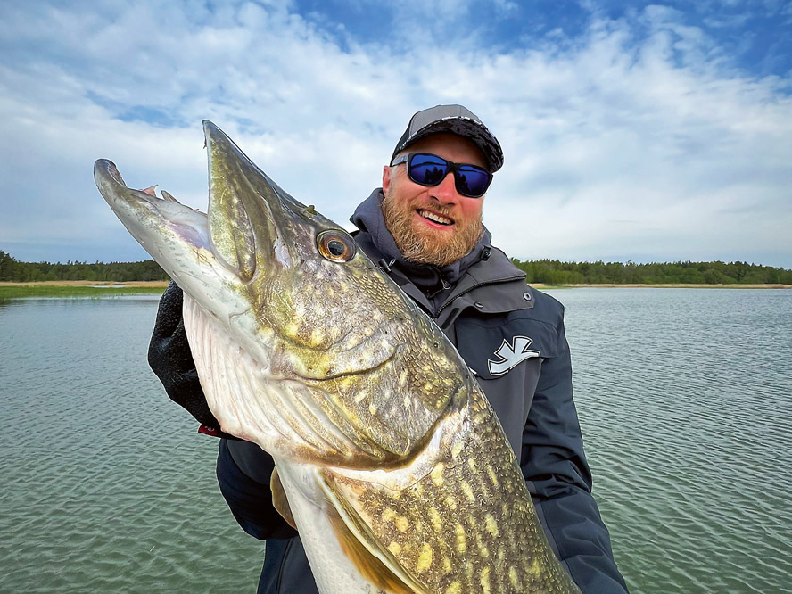 Spinerbaits, izvadīšana, pareizais leņķis, un 90 cm līdaka pārtop par krokodilu.