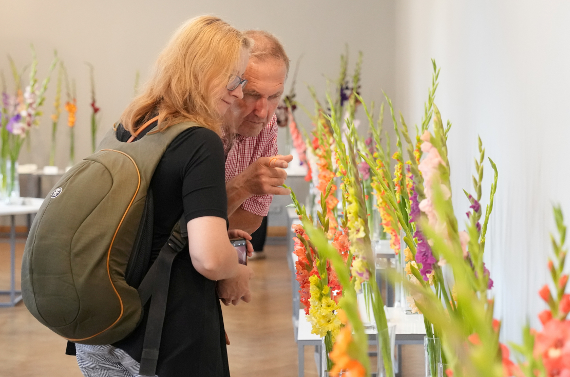 Ziedu izstāde "Gladiolas 2023" Latvijas Dabas muzejā.