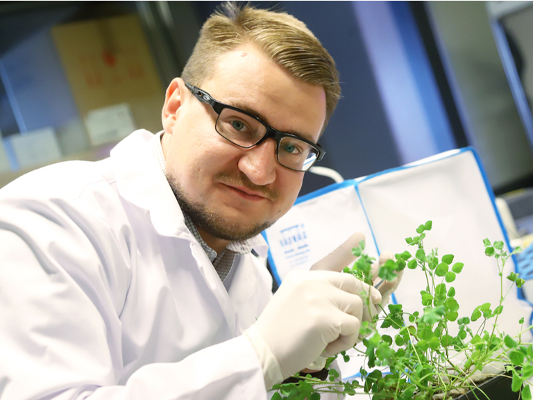 Zigmunds Orlovskis ar lucernai līdzīgo augu, kas tiek audzēts, lai izpētītu pazemes sēņu "internetu".