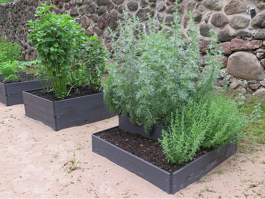 Mulčētas augstās dobes.