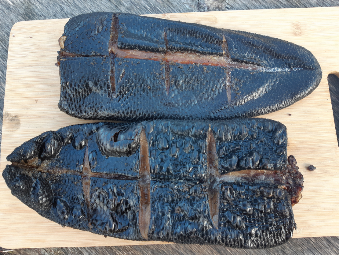 Karsti kūpināta bebra aste. 