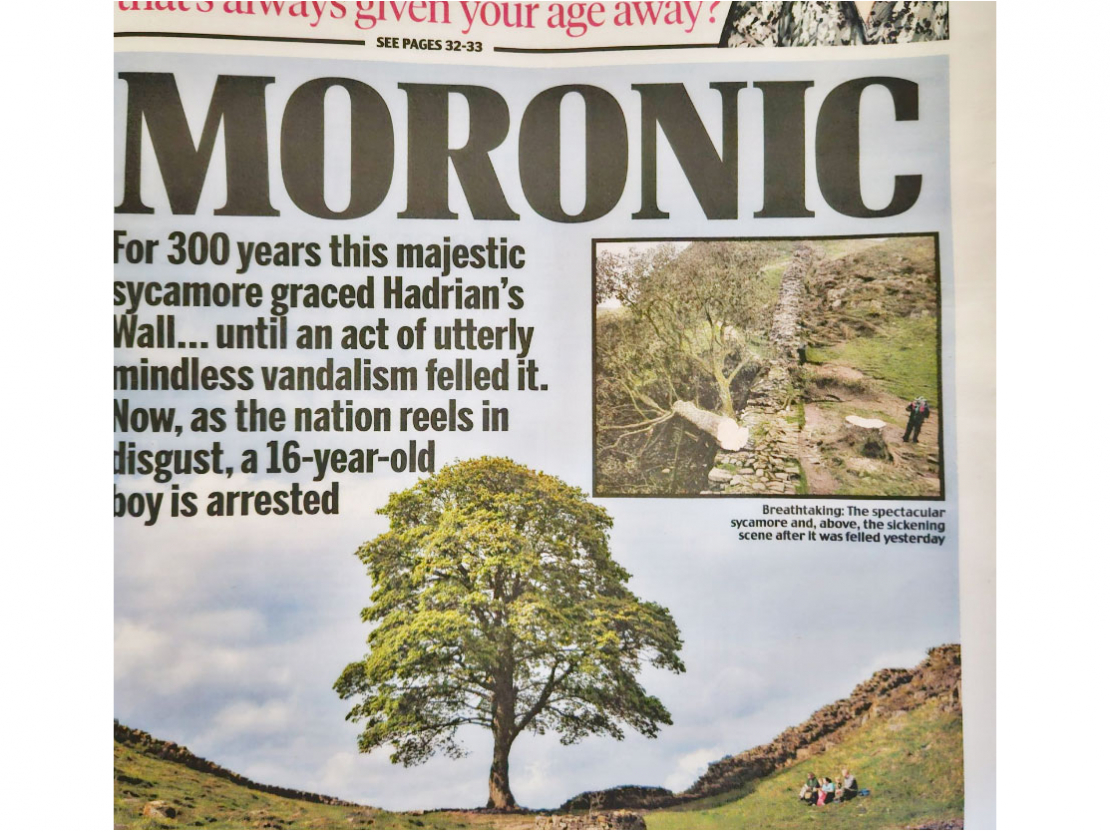 Avīzes "Daily Mail" vāks.