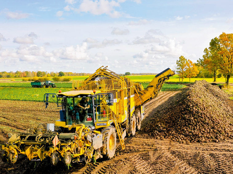 Cukurbiešu novākšanas kombains.
