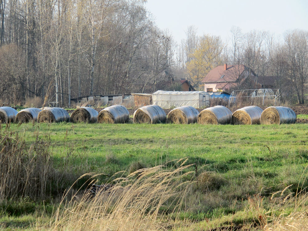 Šādi ietītiem rituļiem jābūt sausiem, jo ūdenim ir grūti gan iekļūt, gan izkļūt no siena.