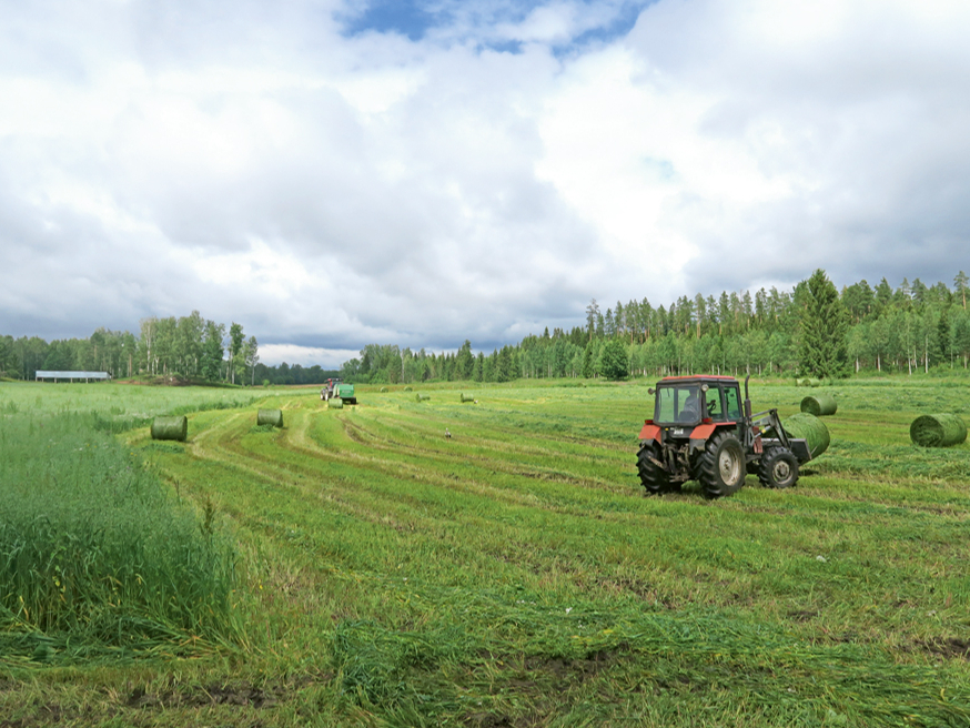 Augsnes īpašības ir galvenais faktors augsnes apstrādes tehnoloģijas izvēlē, citi agrotehniskie pasākumi tam ir pakārtoti.