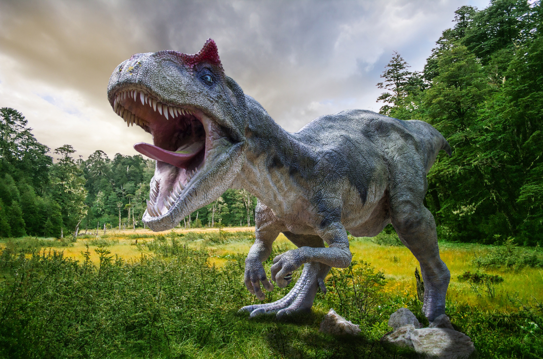 Ja molekulas, šūnas un mīkstie audi dinozauru kaulos patiešām atrasti saglabājušies, tas var nozīmēt tikai to, ka šiem kauliem nekādā gadījumā nevar būt “desmitiem miljonu gadu”. 