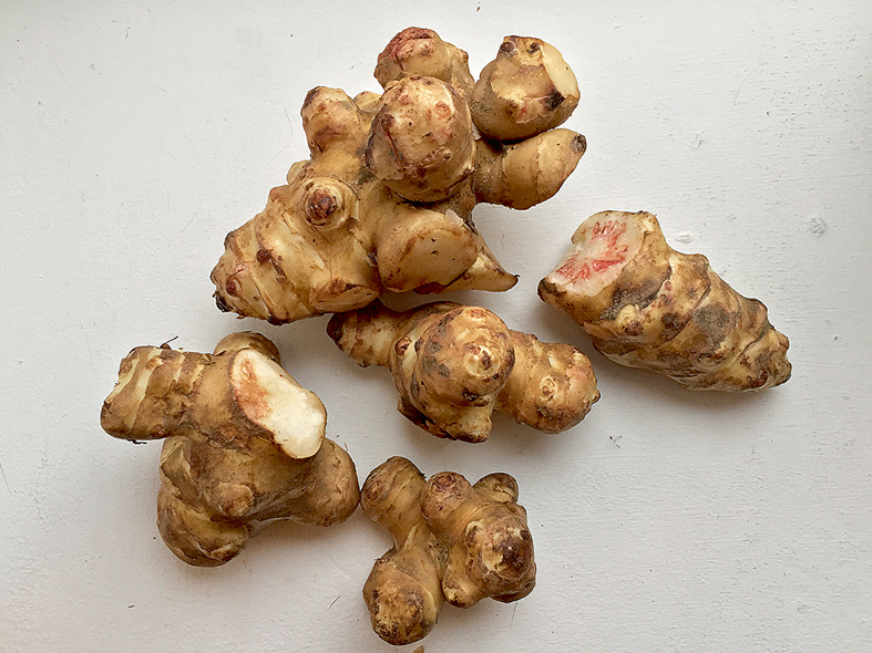 Topinambūrs.