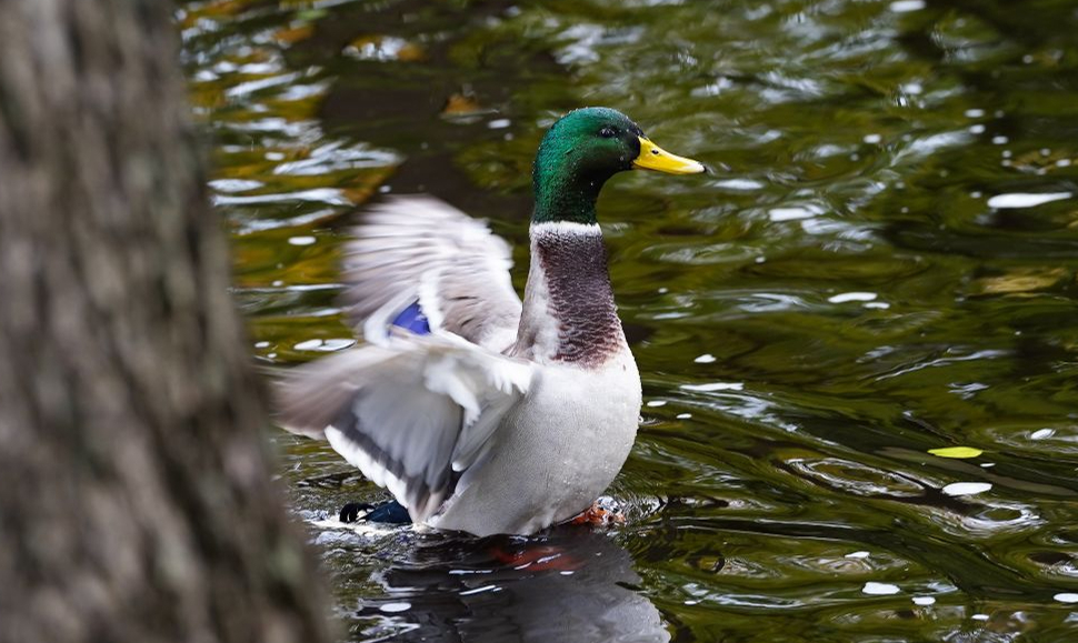 Ilustratīvs attēls.
